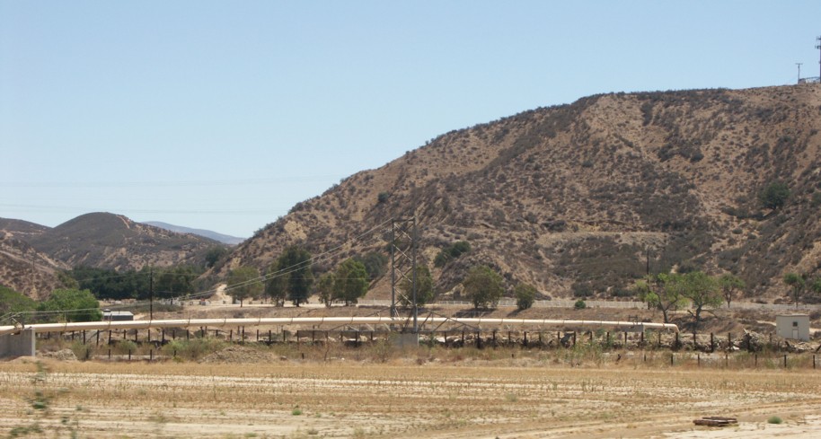 escacastaic2.jpg